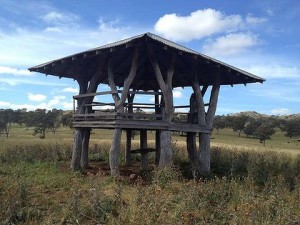 Bandstand-bush structure